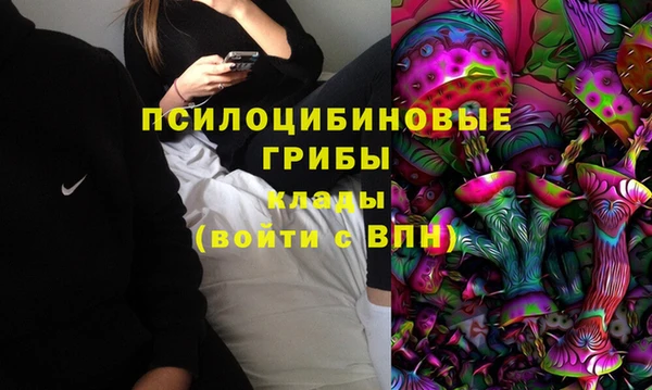 прущая мука Абаза